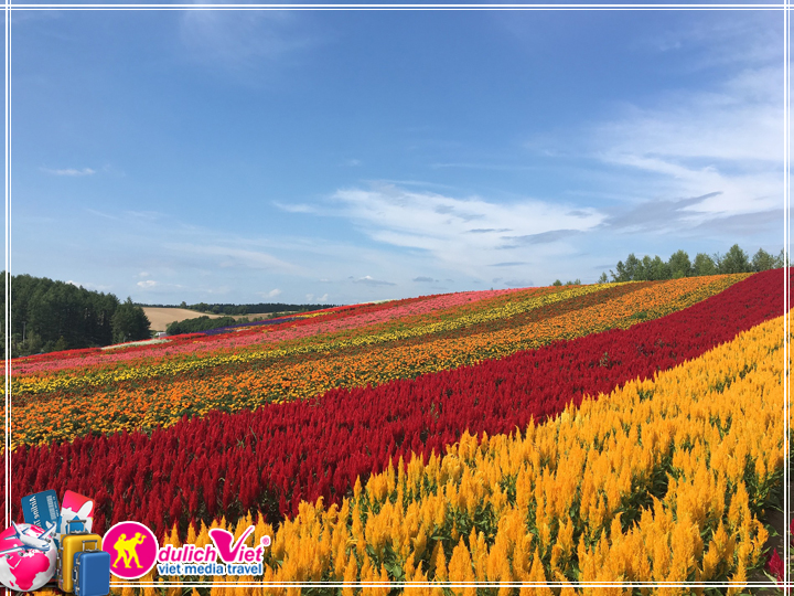 Du Lịch Free and Easy Nhật Bản giá tốt đi Hokkaido 5 ngày 4 đêm